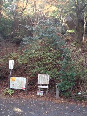 初のエリアにテンションが上がる！